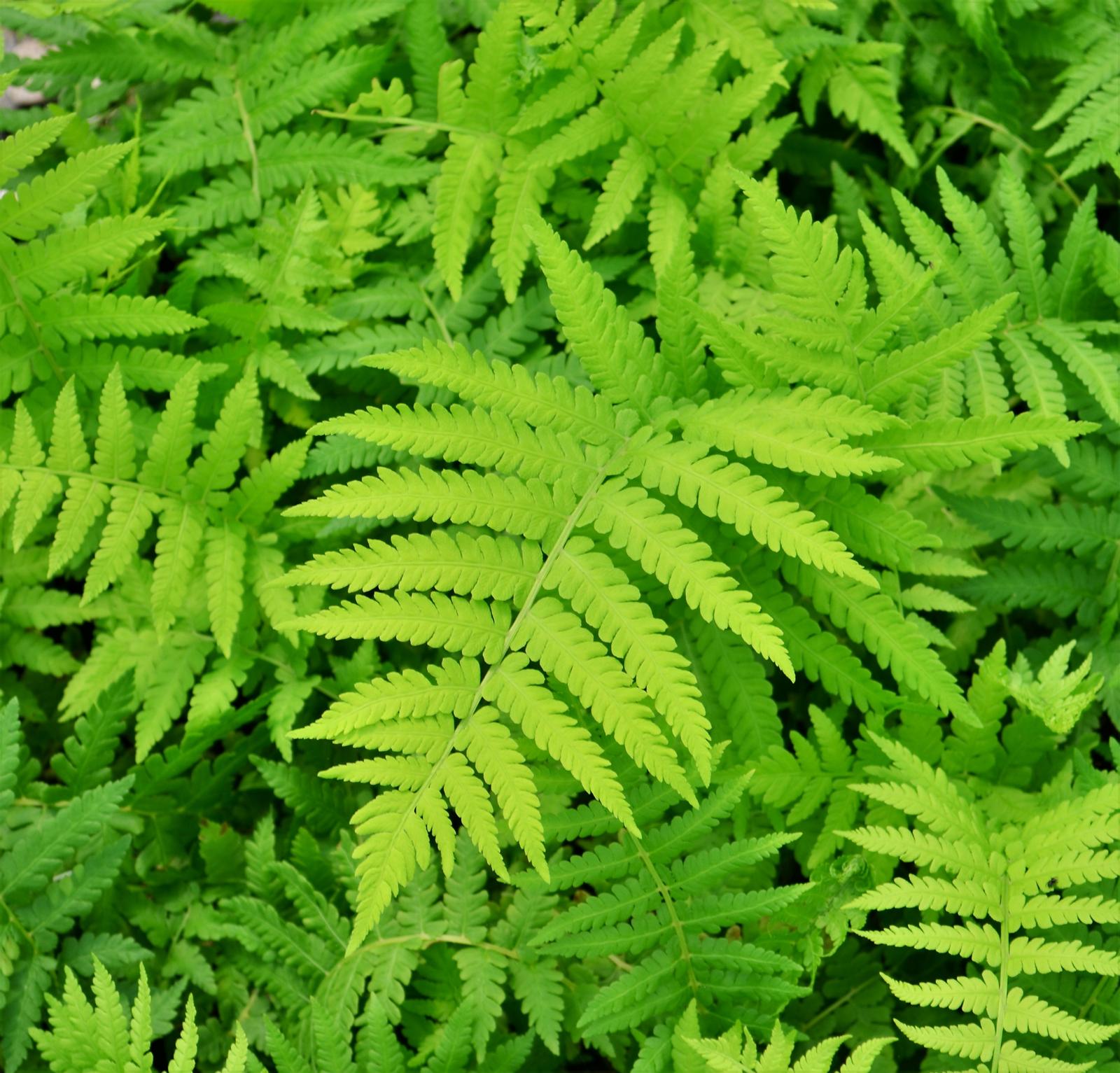 img3